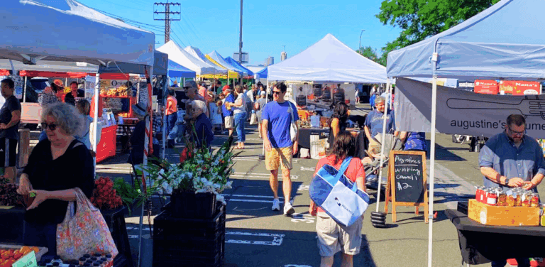 Humane Society of Westchester Pet Food Drive
