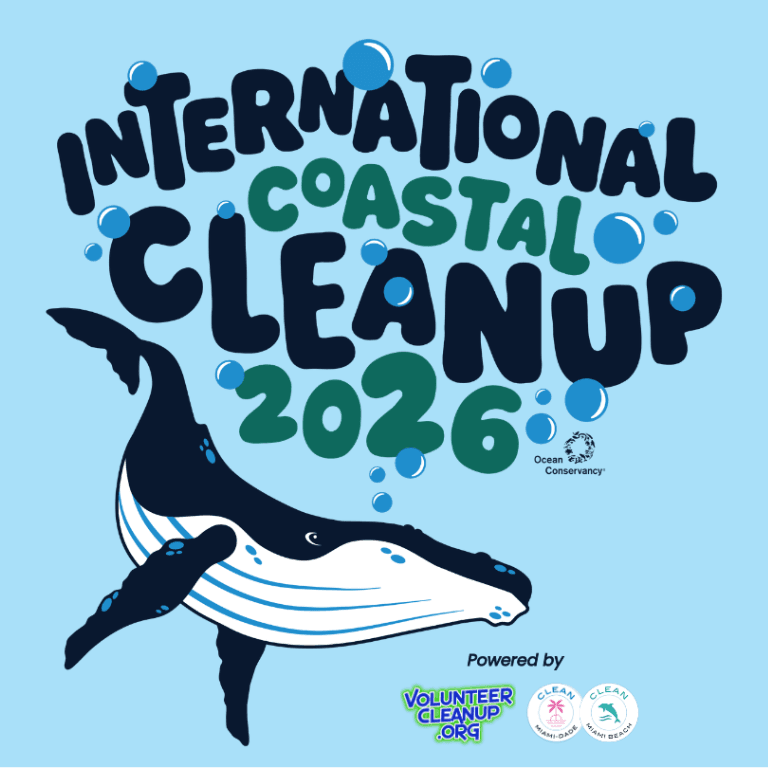 73rd Street Beach Cleanup