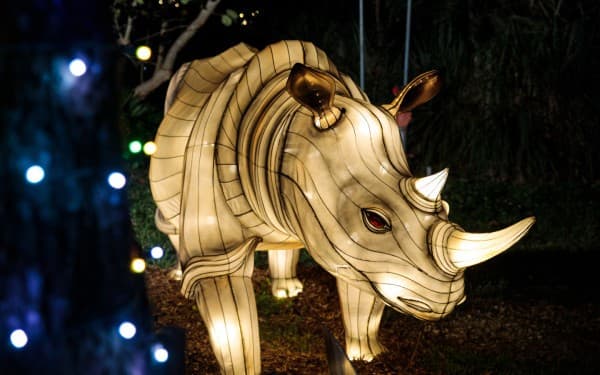 Zoo Lights