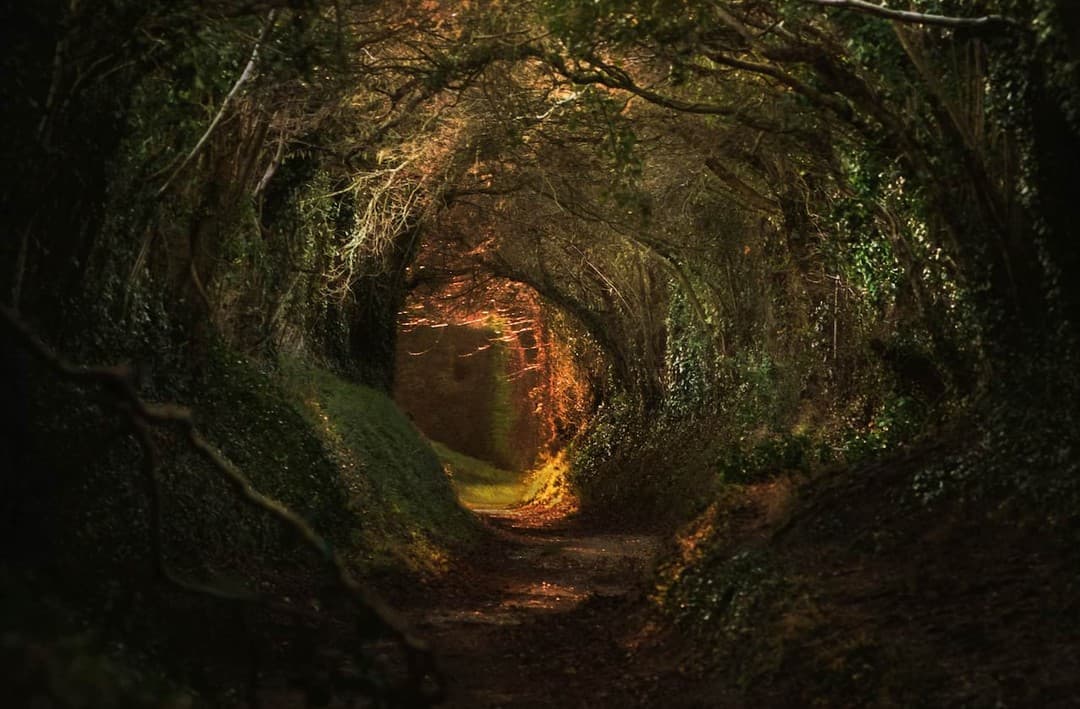 World of Warcraft Orchestra