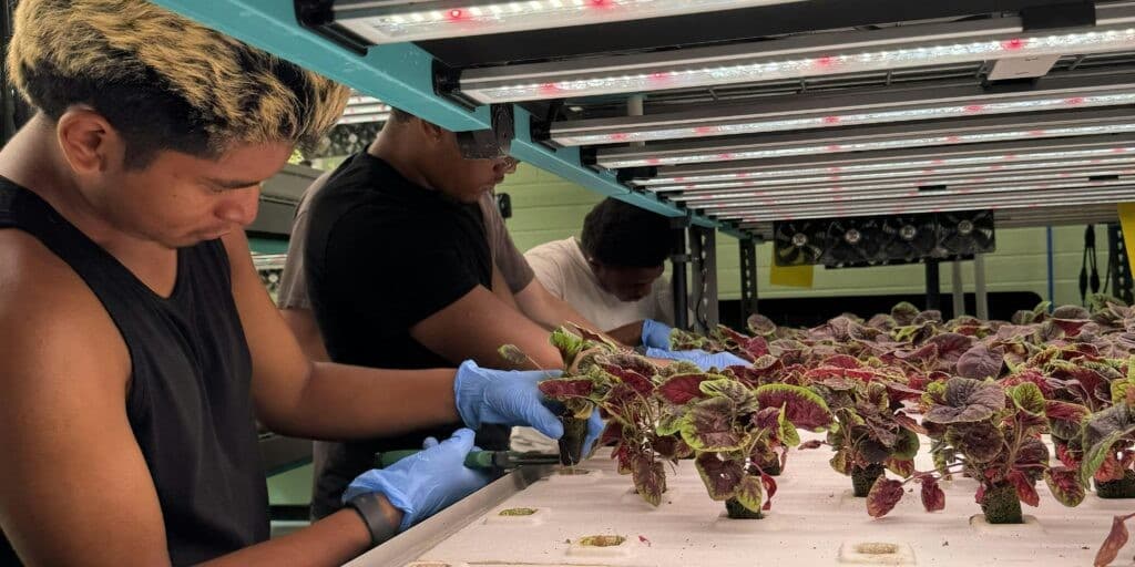 Cultivating Agricultural Literacy in NYC Schools (Virtual)