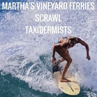 Martha's Vineyard Ferries • Scrawl • Taxidermists