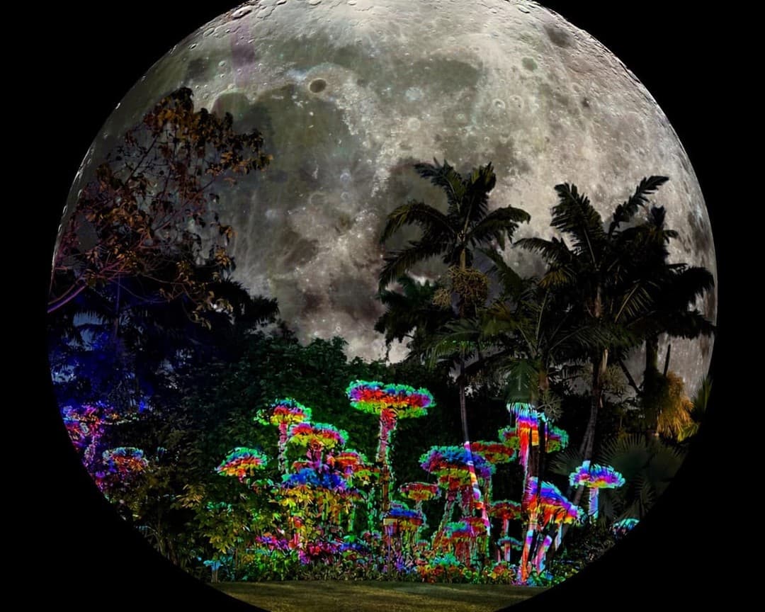 Hunter’s Full Moon Sound Bash
