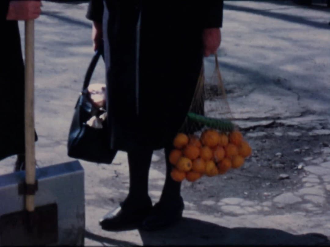 Terra Femme: A Live Film Lecture-Performance