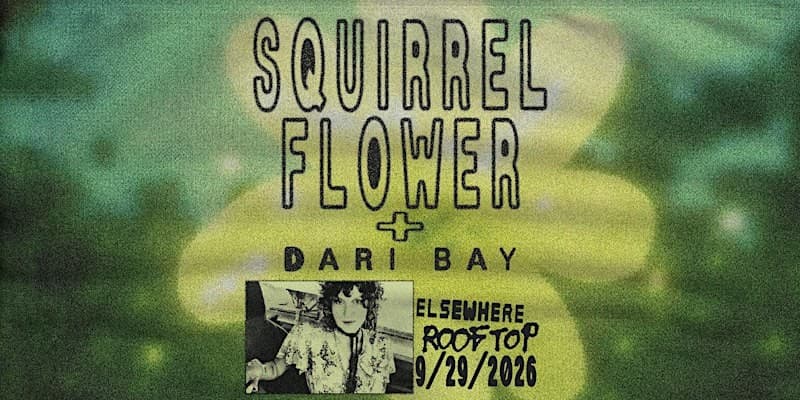 Squirrel Flower, Dari Bay