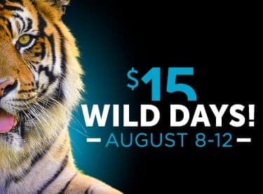 $15 WILD Days