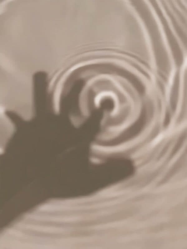 Art Projects International photo 3